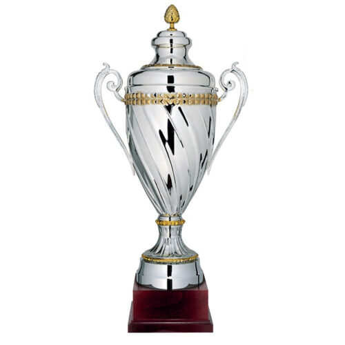 Pokal i Europa-stil i silver, eleganta detaljer och design som representerar europeisk fotboll.