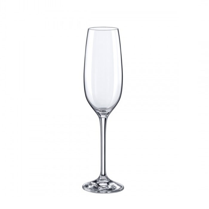 Champagneglas 'Yarra' 20 cl, eleganta och festliga, anpassningsbara för evenemang.