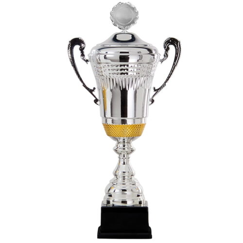 Stor pokal i silver